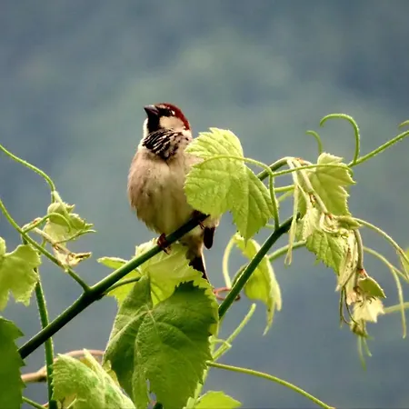 La Vrille - D'hotes 게스트하우스 3*