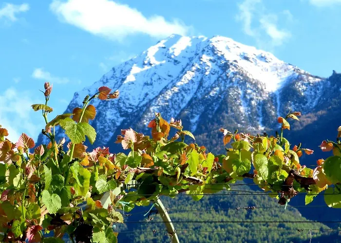 La Vrille - D'hotes בית הארחה